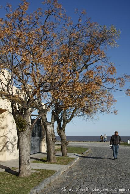 coloresdeinviernoencolonia Colonia: un lugar al que volvería mil veces