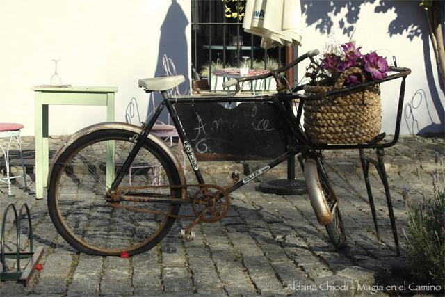 bicicleta2 Colonia: un lugar al que volvería mil veces