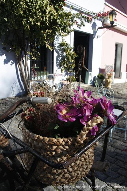 bicicleta Colonia: un lugar al que volvería mil veces