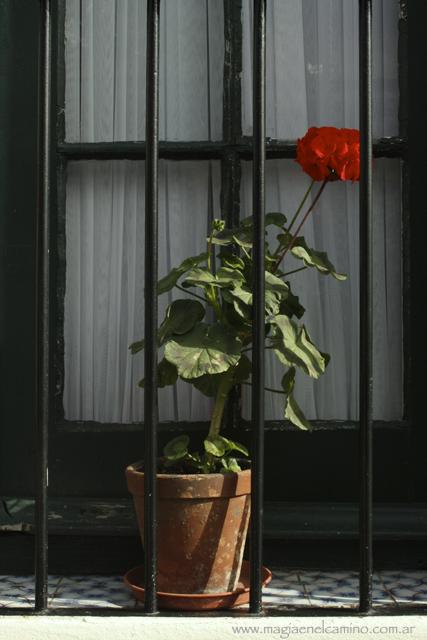 florventana Colonia: un lugar al que volvería mil veces