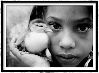 GUACHO, CHA GUACHO, CHA