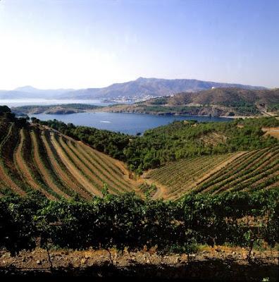 VINO DE NUEVA ZELANDA VINO DE NUEVA ZELANDA