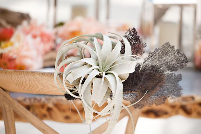 Una boda singular Una boda singular
