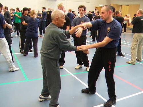 Ip Chun chi sau Ip Chun chi sau