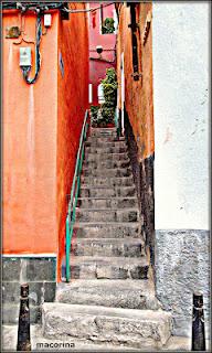 los Riscos de Las Palmas de Gran Canaria : universo de colores los Riscos de Las Palmas de Gran Canaria : universo de colores