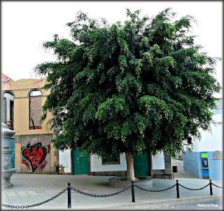 los Riscos de Las Palmas de Gran Canaria : universo de colores los Riscos de Las Palmas de Gran Canaria : universo de colores