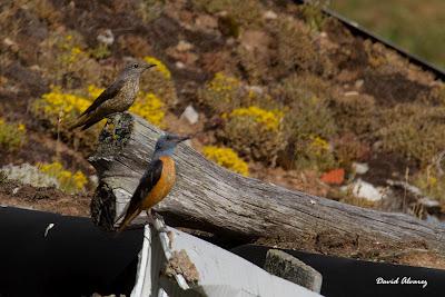 Dando una vuelta por La Bal.louta Dando una vuelta por La Bal.louta