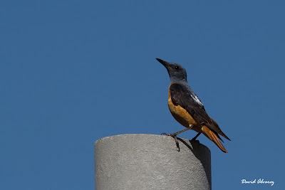 Dando una vuelta por La Bal.louta Dando una vuelta por La Bal.louta