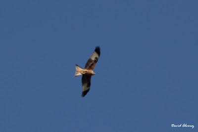 Dando una vuelta por La Bal.louta Dando una vuelta por La Bal.louta