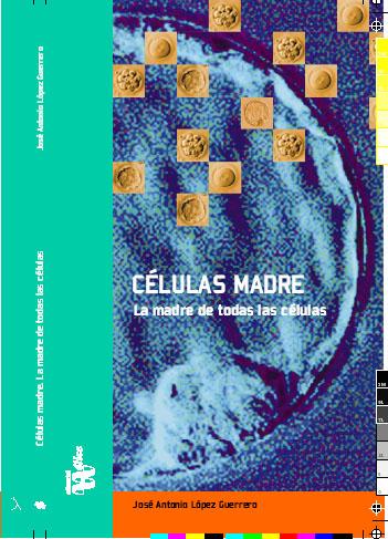 CelulasMadre Células madre embrionarias más estables…