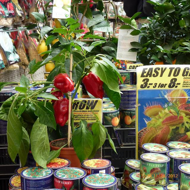 Mercado de las flores de Amsterdam Mercado de las flores de Amsterdam