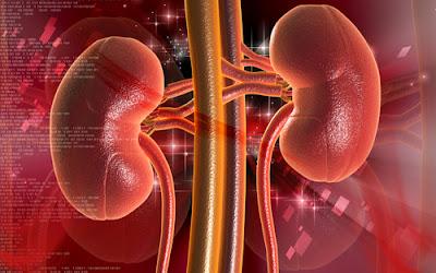 insuficiencia renal crónica Preguntas frecuentemente sobre Insuficiencia Renal Crónica