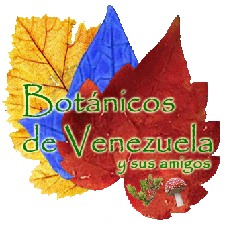 Hoy quiero hablarles del Blog: Botánica en Venezuela
