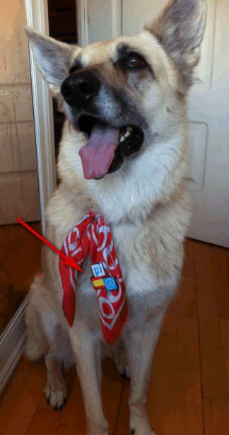 Ya tengo mi identidad digital con Pinboss ¿Y tú? ¡A qué esperas! Ya tengo mi identidad digital con Pinboss ¿Y tú? ¡A qué esperas!