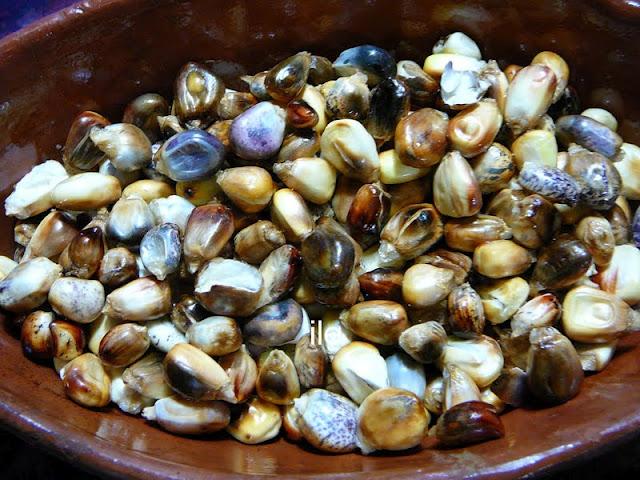 Maiz de cancha Maiz de cancha