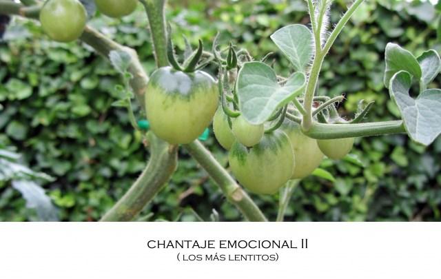 IMG_0326 Toca huerto.