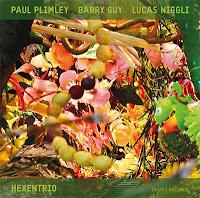 Paul Plimley - Barry Guy - Lucas Niggli: Hexentrio (Intakt, 2012)