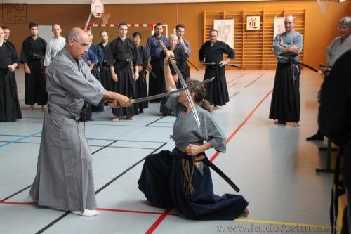 Curso de Sui O Ryu Toulouse Julio 2012