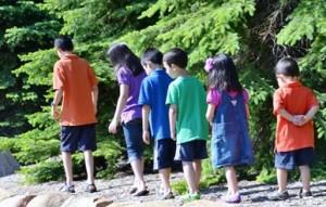 Los primos Retomando Pingüicas