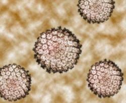 infecciones Las infecciones son las causantes de 1 cada 6 casos de cáncer a nivel mundial