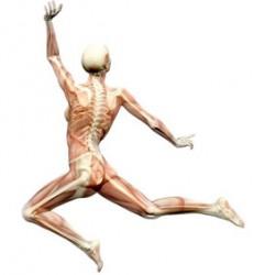 La vitamina D más calcio podrían ayudar a extender la vida La vitamina D más calcio podrían ayudar a extender la vida