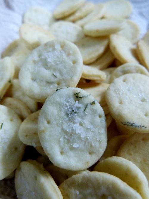 crackers saladas | daring bakers julio 2012 - parte 1 crackers saladas | daring bakers julio 2012 - parte 1