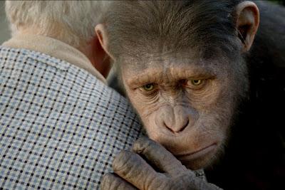 El origen del planeta de los simios: primates con conciencia de clase