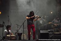 Radaid en Chihuahua Radaid en Chihuahua