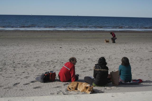playaymate Madryn, con “M” de Mate