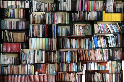 libros Fantasía, magia, marcianos y knowmads. Lecturas para el verano