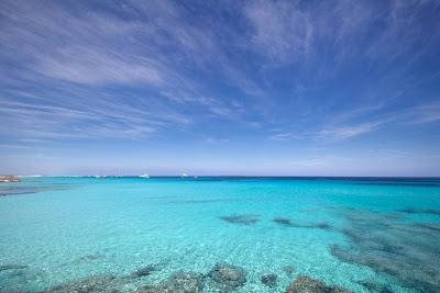 Soñar es gratis Soñar es gratis