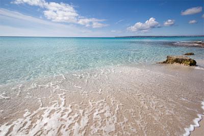 Soñar es gratis Soñar es gratis