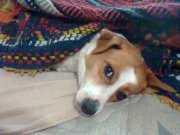 Crónica de un sábado pedorro Crónica de un sábado pedorro