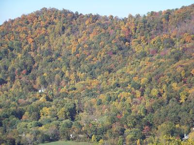 Southeast US: Día 4, 1ª parte, Blue Ridge Parkway