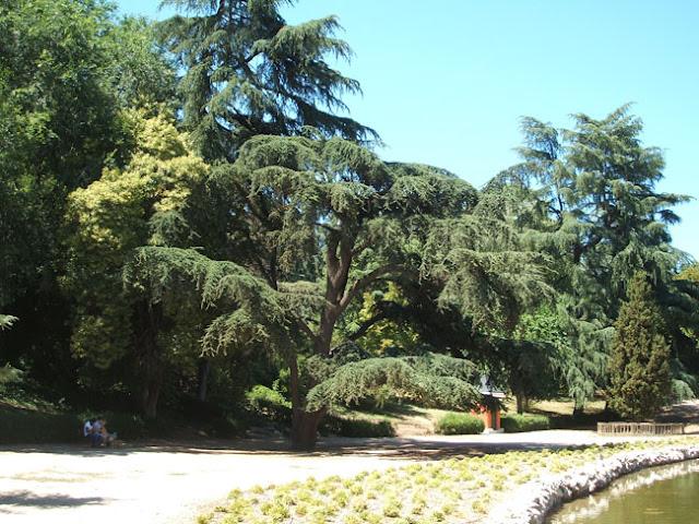 Jardines de la Fuente del Berro Jardines de la Fuente del Berro