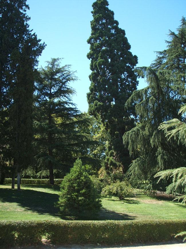 Jardines de la Fuente del Berro Jardines de la Fuente del Berro