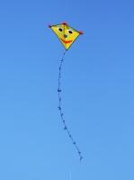 Combatir procrastinación Kite