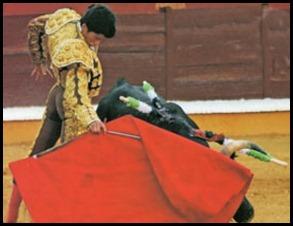 josegarrido josegarrido