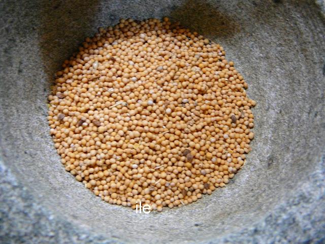 Mi mostaza casera Mi mostaza casera