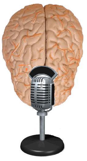Hablando sobre daño cerebral en la radio Hablando sobre daño cerebral en la radio