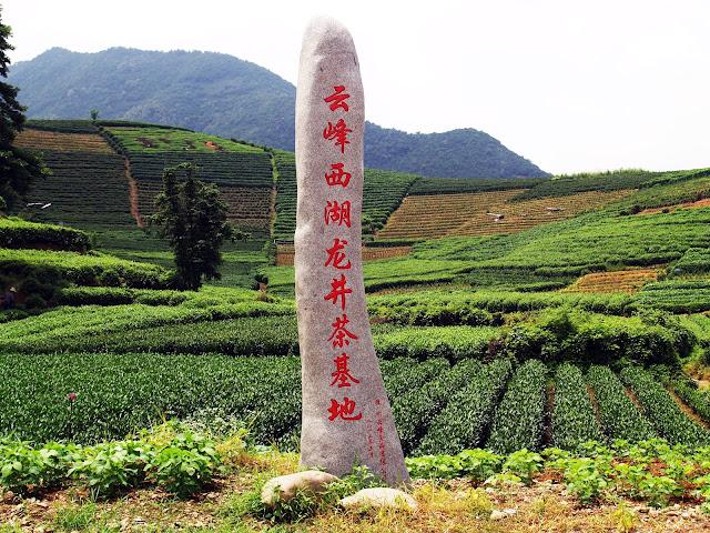 Té y medicina tradicional. Hangzhou (II)