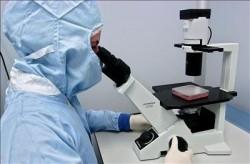 Hallan nuevas causas por las cuales se disemina el cáncer de piel Hallan nuevas causas por las cuales se disemina el cáncer de piel