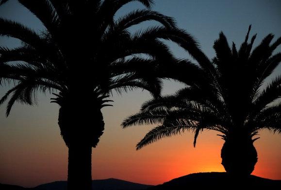 Inspiration 12812 Inspiration 12812