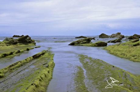 Barrika y Getxo en imágenes