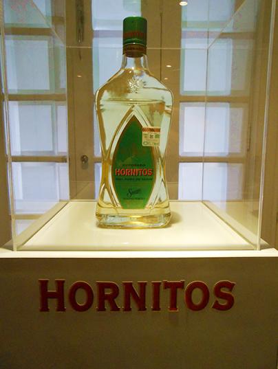 DSCN0158 Se Inaugura con todo un estilo: Casa Hornitos