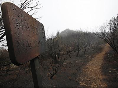 Incendios forestales, más de lo mismo pero peor