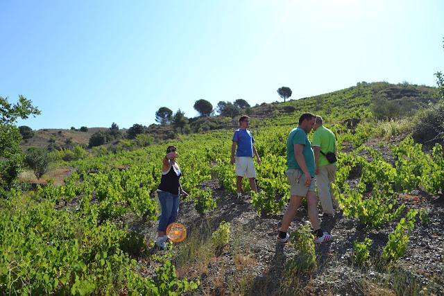 Mas Martinet – Cims de Porrera. Pasado, presente y futuro de los vinos de calidad en la DOQ. Priorat Mas Martinet – Cims de Porrera. Pasado, presente y futuro de los vinos de calidad en la DOQ. Priorat