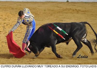 NOVILLADA MIXTA SIN CABALLOS EB VILLANUEVA DE CÓRDOBA: JIMENEZ Y ALCALDE SALEN A HOMBROS NOVILLADA MIXTA SIN CABALLOS EB VILLANUEVA DE CÓRDOBA: JIMENEZ Y ALCALDE SALEN A HOMBROS
