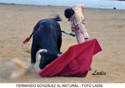 NOVILLADA MIXTA SIN CABALLOS EB VILLANUEVA DE CÓRDOBA: JIMENEZ Y ALCALDE SALEN A HOMBROS NOVILLADA MIXTA SIN CABALLOS EB VILLANUEVA DE CÓRDOBA: JIMENEZ Y ALCALDE SALEN A HOMBROS