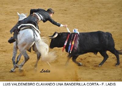 NOVILLADA MIXTA SIN CABALLOS EB VILLANUEVA DE CÓRDOBA: JIMENEZ Y ALCALDE SALEN A HOMBROS NOVILLADA MIXTA SIN CABALLOS EB VILLANUEVA DE CÓRDOBA: JIMENEZ Y ALCALDE SALEN A HOMBROS